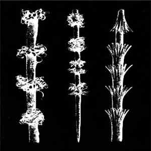 Bee Mask - Frozen Versioning (Hyperborean Return) download free