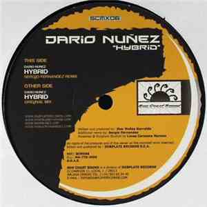 Dario Núñez - Hybrid download free