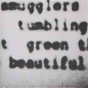 Filthy Turd - Everyday They Lay An Egg Down In The Ground They Are Killing Me download free