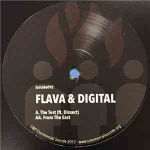 Flava  & Digital - The Test download free