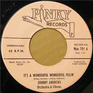Johnny Andrews  - It's A Wonderful Wonderful Feelin' download free