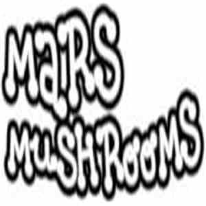 Mars Mushrooms - Live At Weisses Ross, Immeldorf, Germany On 2014-12-26 (December 26, 2014) download free