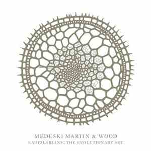 Medeski Martin & Wood - Radiolarians: The Evolutionary Set download free