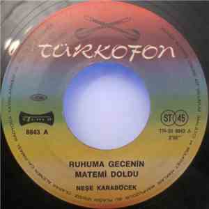 Neşe Karaböcek - Ruhuma Gecenin Matemi Doldu / Nereden Düstüm Bu Aska download free