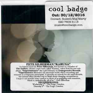 Peter Silberman - Karuna download free