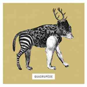 Quadrupède - Quadrupède