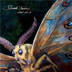 Shook Twins - What We Do download free