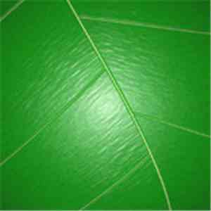 Superelvis - Vegetal download free