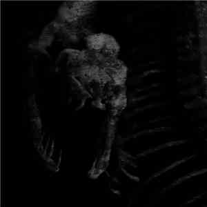 The Council Of Days - Dark Night Of The Soul download free