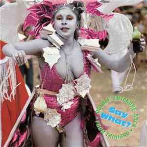 Various - Say What? Double Entendre Soca Music From Trinidad download free